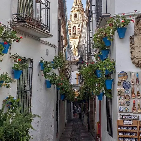 Апартаменты Palace Кордова